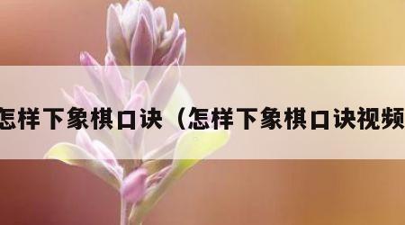 怎样下象棋口诀（怎样下象棋口诀视频）