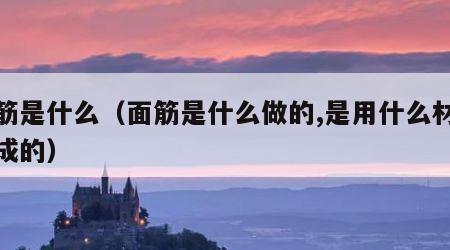 面筋是什么（面筋是什么做的,是用什么材料做成的）