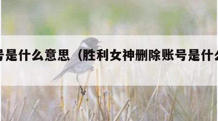 账号是什么意思（胜利女神删除账号是什么意思）