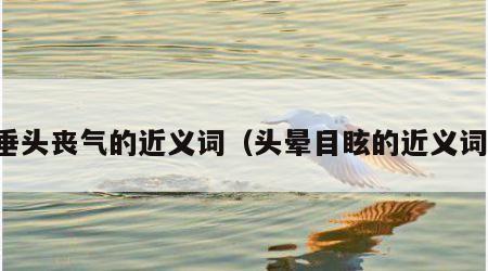 垂头丧气的近义词（头晕目眩的近义词）