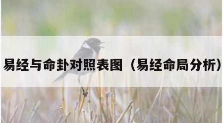 易经与命卦对照表图（易经命局分析）