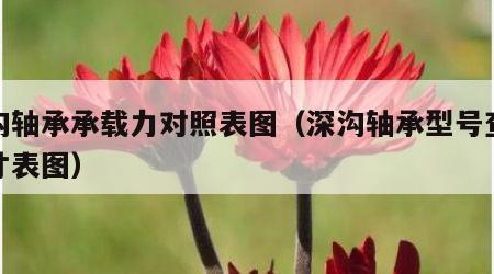 深沟轴承承载力对照表图（深沟轴承型号查询尺寸表图）
