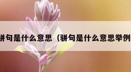 骈句是什么意思（骈句是什么意思举例）