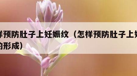 怎样预防肚子上妊娠纹（怎样预防肚子上妊娠纹的形成）