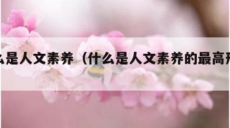 什么是人文素养（什么是人文素养的最高形态）
