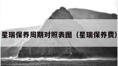 星瑞保养周期对照表图（星瑞保养费）