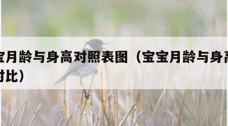 宝宝月龄与身高对照表图（宝宝月龄与身高体重对比）