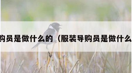 导购员是做什么的（服装导购员是做什么的）