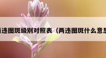 两违图斑级别对照表（两违图斑什么意思）