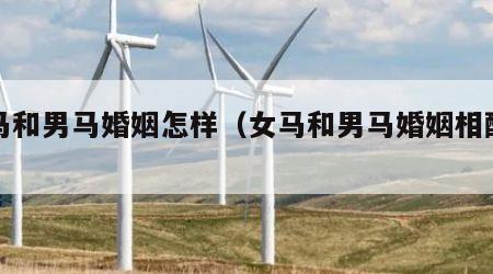 女马和男马婚姻怎样（女马和男马婚姻相配吗）