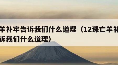 亡羊补牢告诉我们什么道理（12课亡羊补牢告诉我们什么道理）
