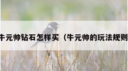 牛元帅钻石怎样买（牛元帅的玩法规则）