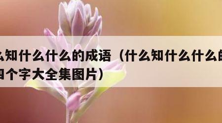 什么知什么什么的成语（什么知什么什么的成语四个字大全集图片）