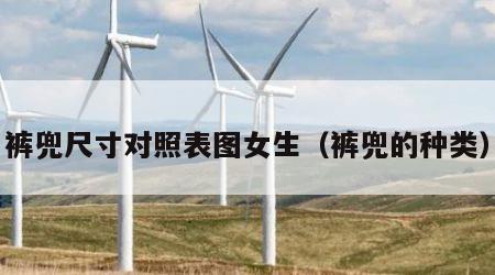 裤兜尺寸对照表图女生（裤兜的种类）