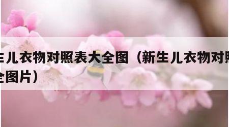 新生儿衣物对照表大全图（新生儿衣物对照表大全图片）