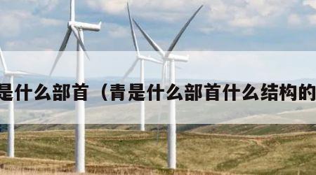 青是什么部首（青是什么部首什么结构的字）