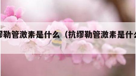抗缪勒管激素是什么（抗缪勒管激素是什么检查）