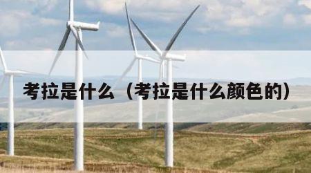 考拉是什么（考拉是什么颜色的）