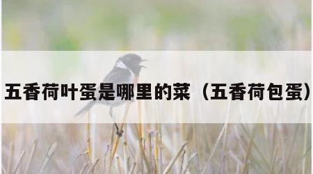 五香荷叶蛋是哪里的菜（五香荷包蛋）