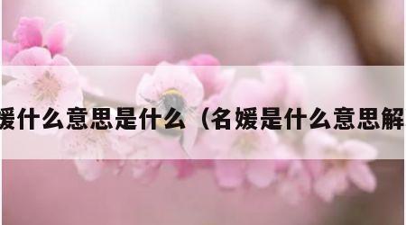 名媛什么意思是什么（名媛是什么意思解释）