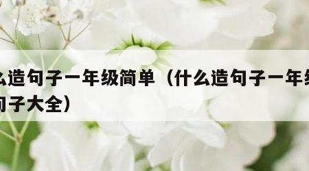什么造句子一年级简单（什么造句子一年级简单句子大全）
