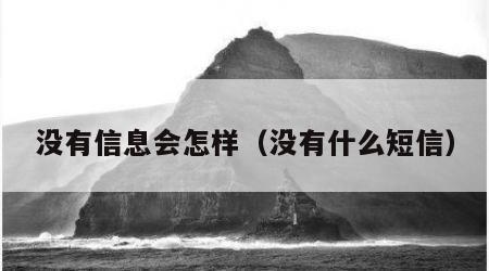 没有信息会怎样（没有什么短信）