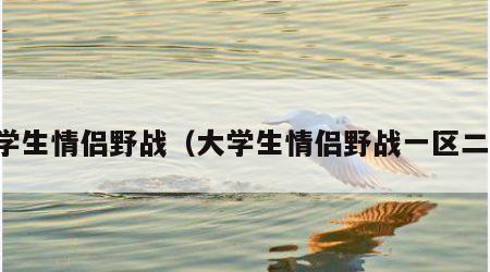 大学生情侣野战（大学生情侣野战一区二区）