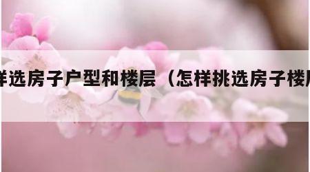 怎样选房子户型和楼层（怎样挑选房子楼层户型）