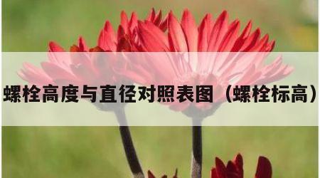 螺栓高度与直径对照表图（螺栓标高）
