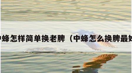 中蜂怎样简单换老脾（中蜂怎么换脾最好）