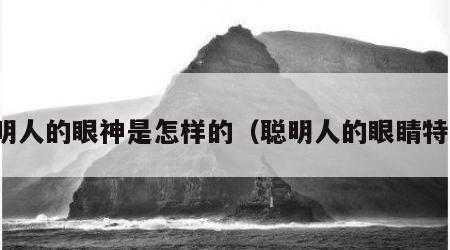 聪明人的眼神是怎样的（聪明人的眼睛特征）
