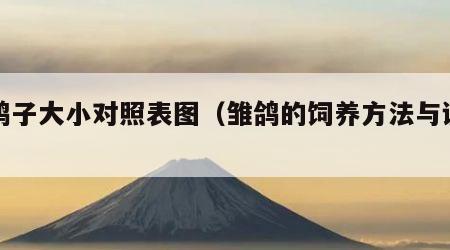 雏鸽子大小对照表图（雏鸽的饲养方法与调理）