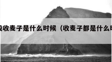 一般收麦子是什么时候（收麦子都是什么时候）