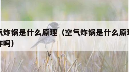 空气炸锅是什么原理（空气炸锅是什么原理能爆炸吗）