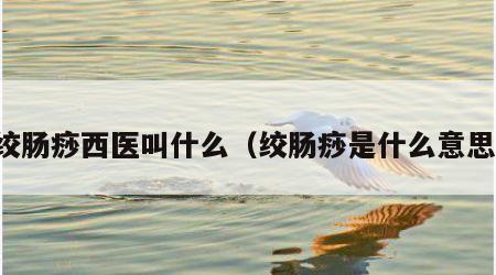 绞肠痧西医叫什么（绞肠痧是什么意思）