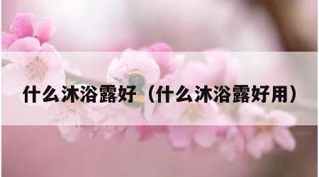什么沐浴露好（什么沐浴露好用）