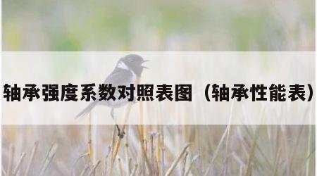轴承强度系数对照表图（轴承性能表）