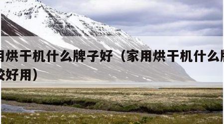 家用烘干机什么牌子好（家用烘干机什么牌子比较好用）