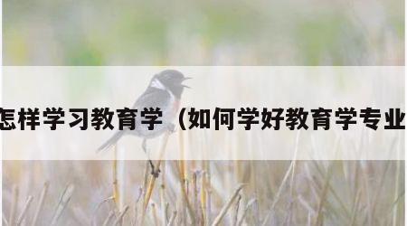 怎样学习教育学（如何学好教育学专业）