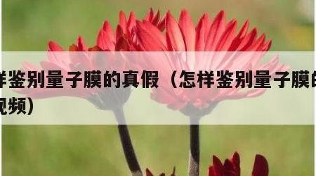 怎样鉴别量子膜的真假（怎样鉴别量子膜的真假视频）