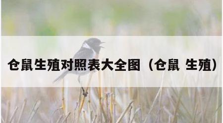 仓鼠生殖对照表大全图（仓鼠 生殖）