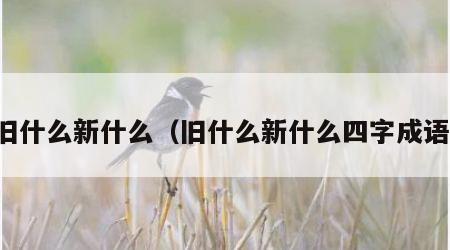 旧什么新什么（旧什么新什么四字成语）