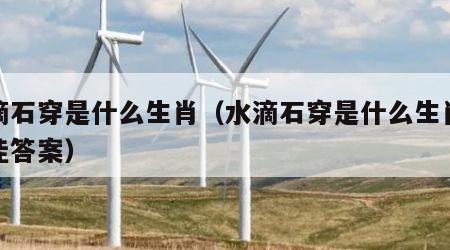 水滴石穿是什么生肖（水滴石穿是什么生肖求最佳答案）