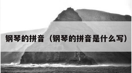 钢琴的拼音（钢琴的拼音是什么写）