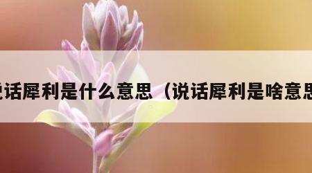 说话犀利是什么意思（说话犀利是啥意思）