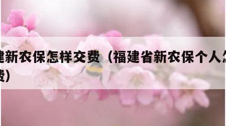 福建新农保怎样交费（福建省新农保个人怎么交费）