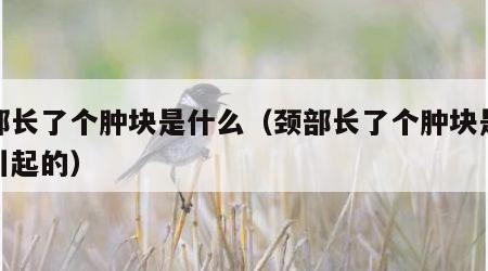 颈部长了个肿块是什么（颈部长了个肿块是什么引起的）