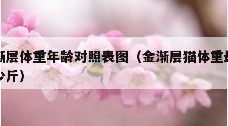 金渐层体重年龄对照表图（金渐层猫体重最肥多少斤）