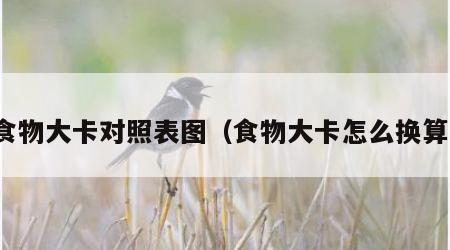 食物大卡对照表图（食物大卡怎么换算）