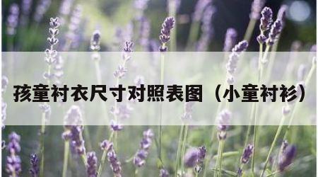 孩童衬衣尺寸对照表图（小童衬衫）